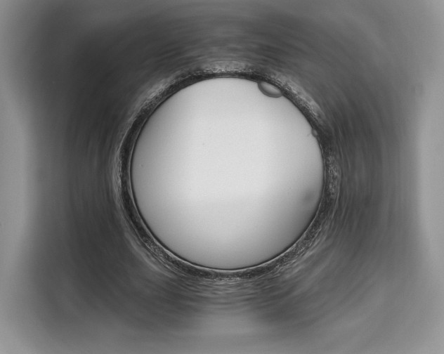 X0000110320631200905211206