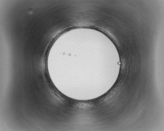 X0000110320632200905211206