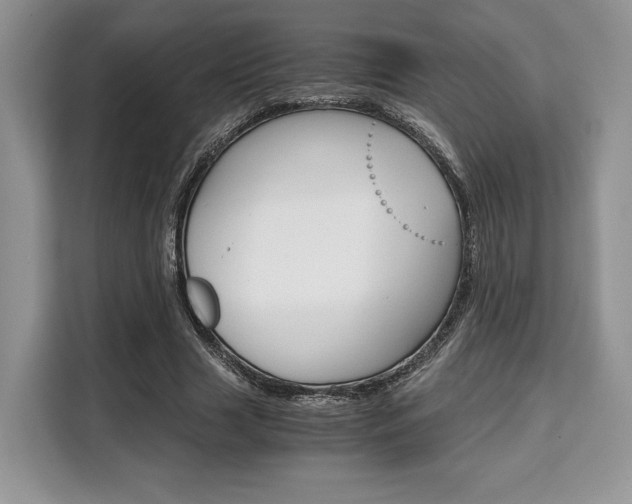 X0000110320633200905211206