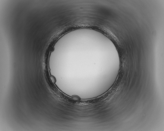 X0000110320635200905211206