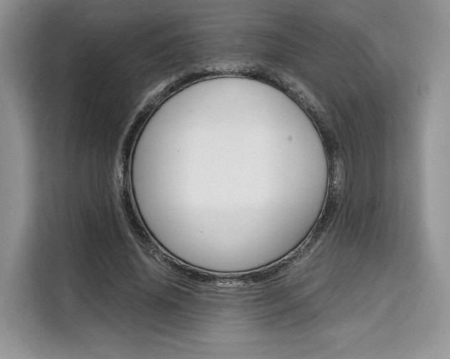 X0000110320636200905211206