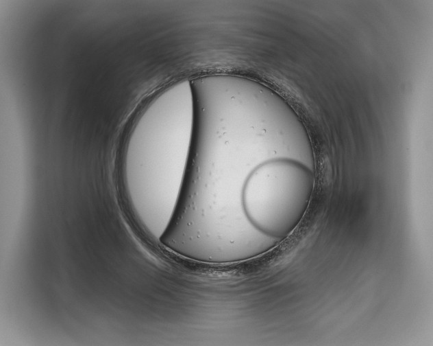 X0000110320638200905211206