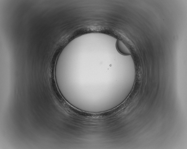 X0000110320639200905211206