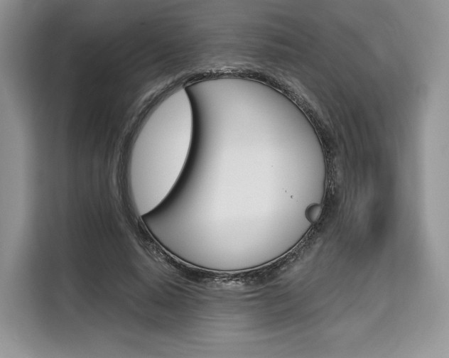 X0000110320640200905211206