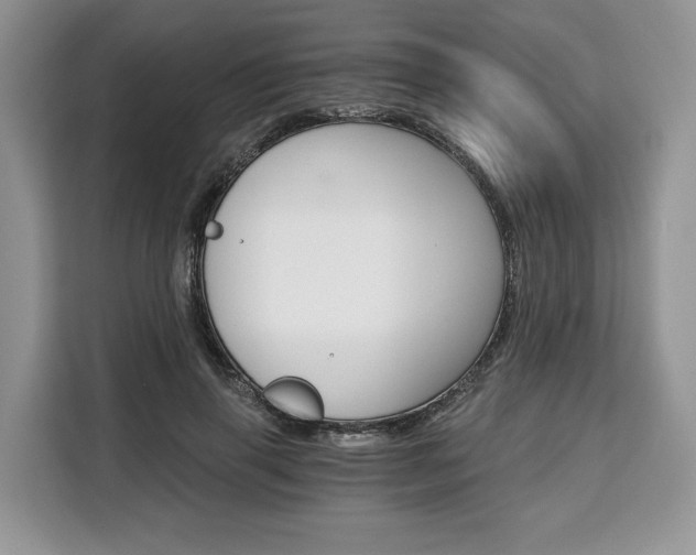 X0000110320645200905211206
