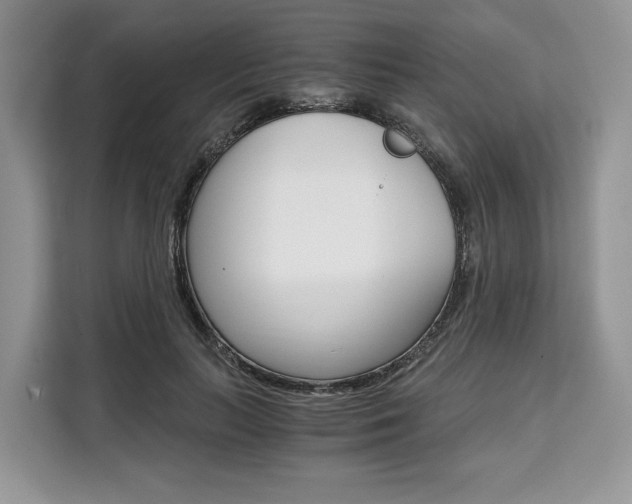 X0000110320647200905211206