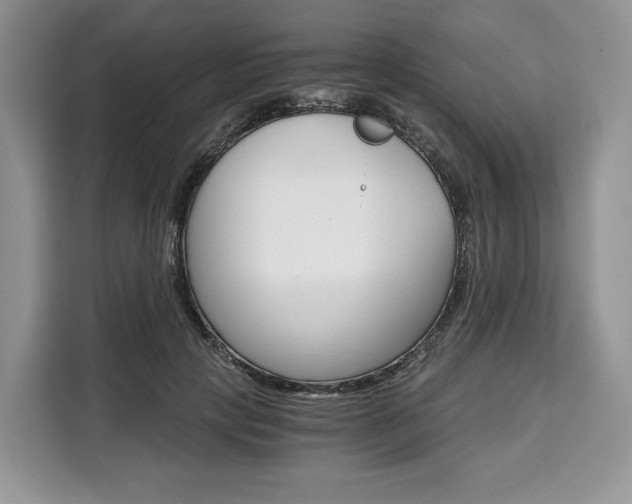 X0000110320649200905211206