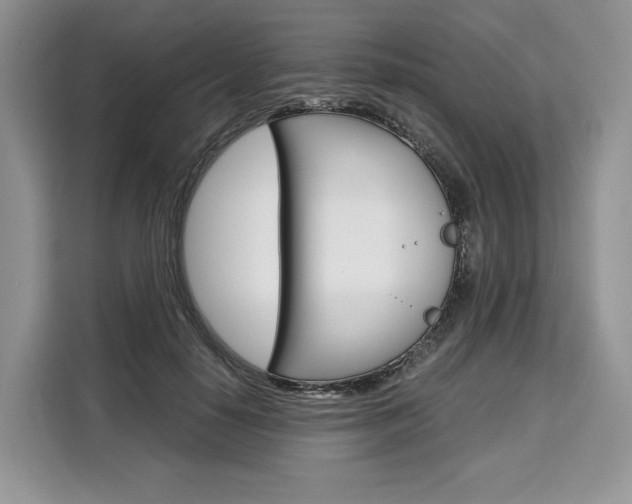 X0000110320650200905211206