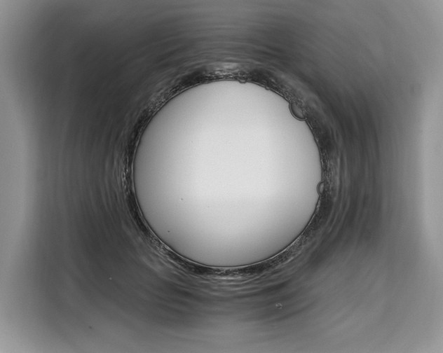 X0000110320653200905211206