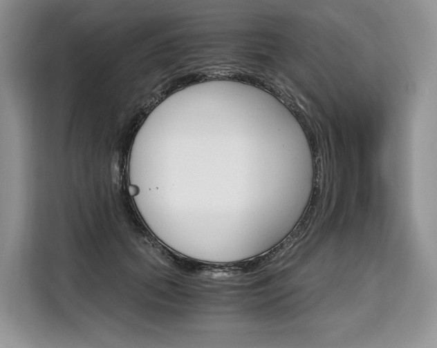 X0000110320655200905211207