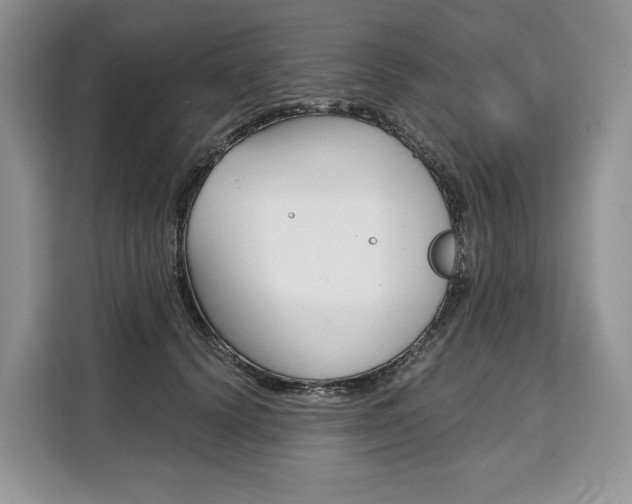 X0000110320656200905211207