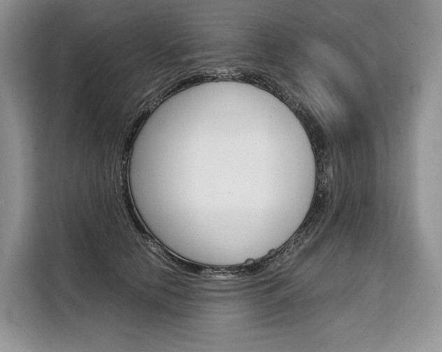 X0000110320658200905211207