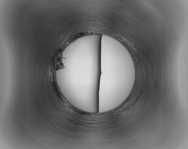 X0000110320661200905211207