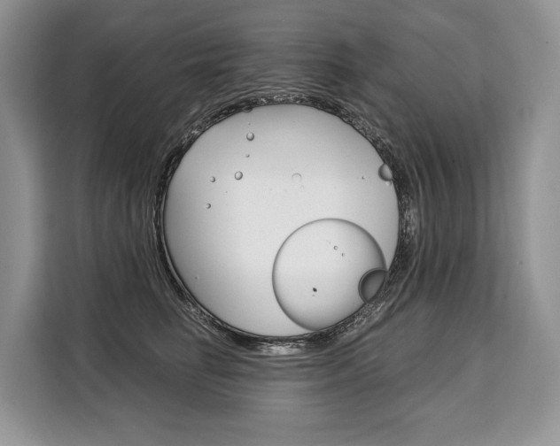 X0000110320662200905211207
