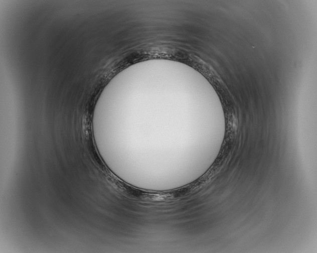X0000110320663200905211207