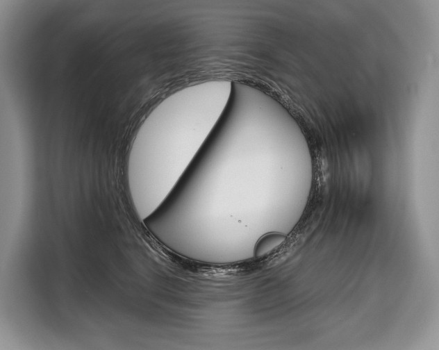 X0000110320664200905211207