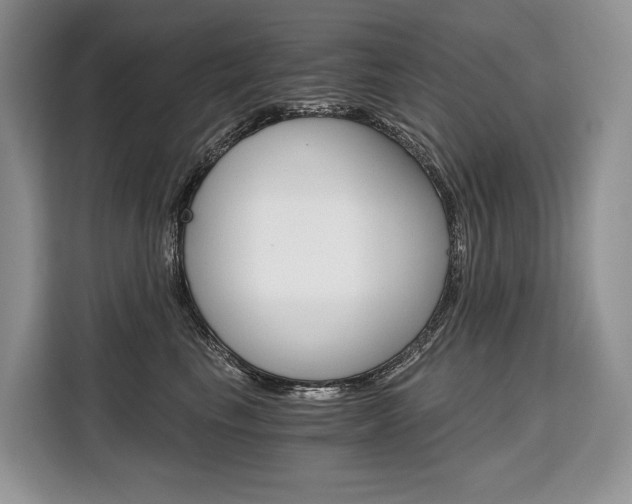 X0000110320665200905211207