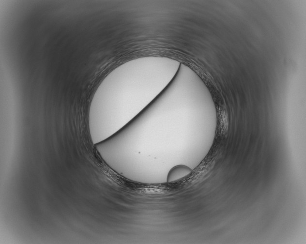 X0000110320668200905211207