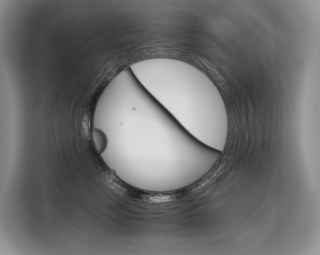 X0000110320669200905211207
