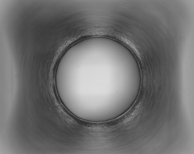 X0000110320673200905211206