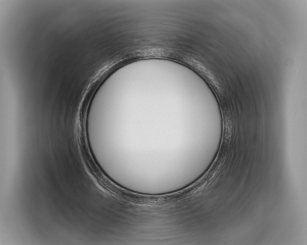 X0000110320674200905211206