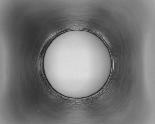 X0000110320675200905211206