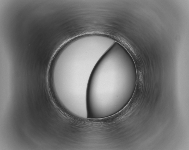 X0000110320676200905211206