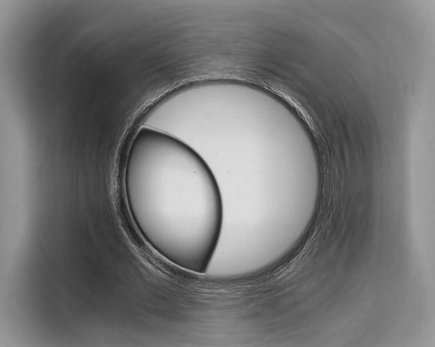 X0000110320677200905211206