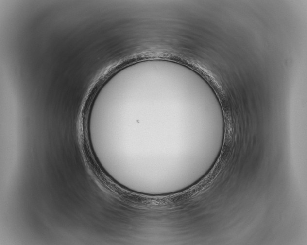 X0000110320678200905211206