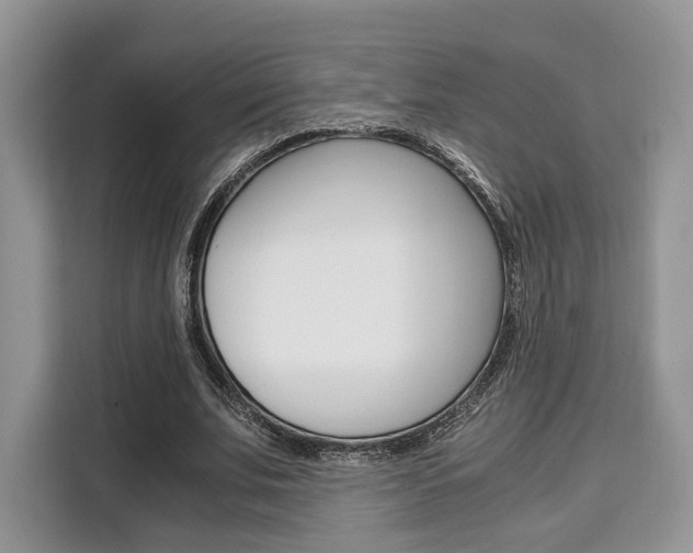 X0000110320679200905211206
