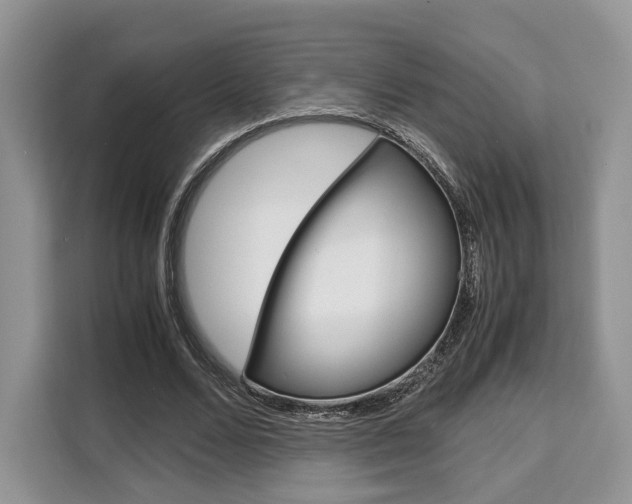 X0000110320680200905211206
