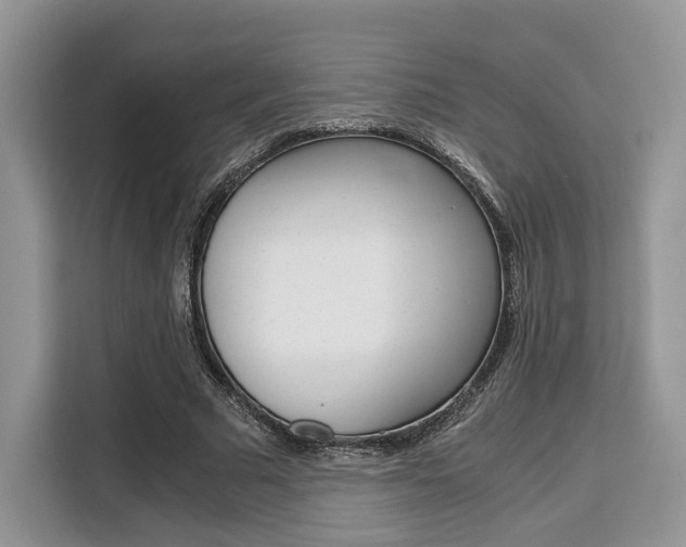 X0000110320681200905211206