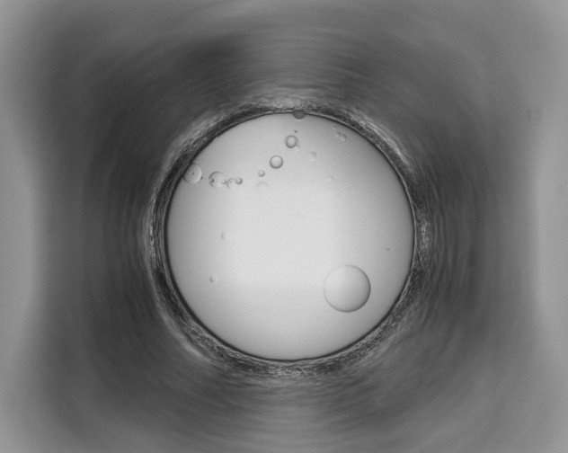 X0000110320682200905211206