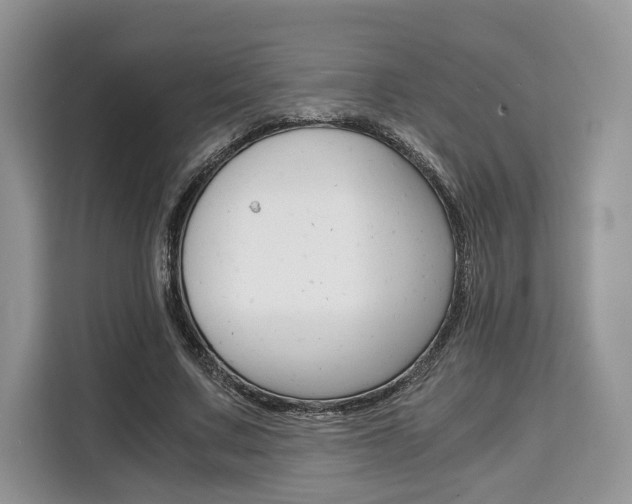 X0000110320683200905211206