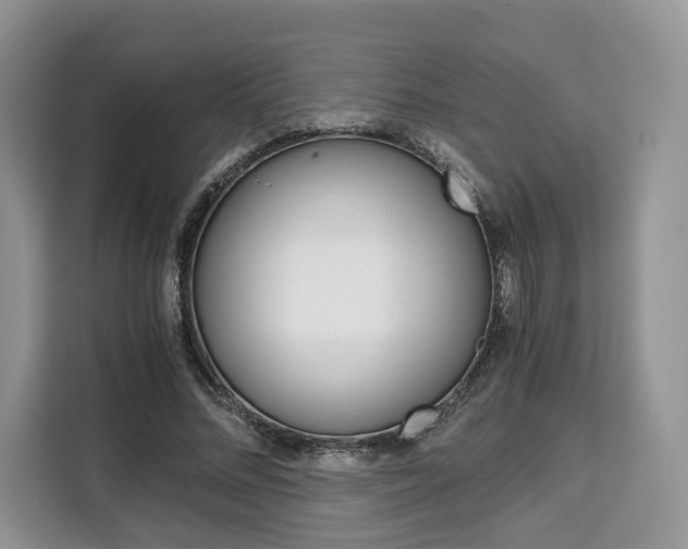 X0000110320684200905211206