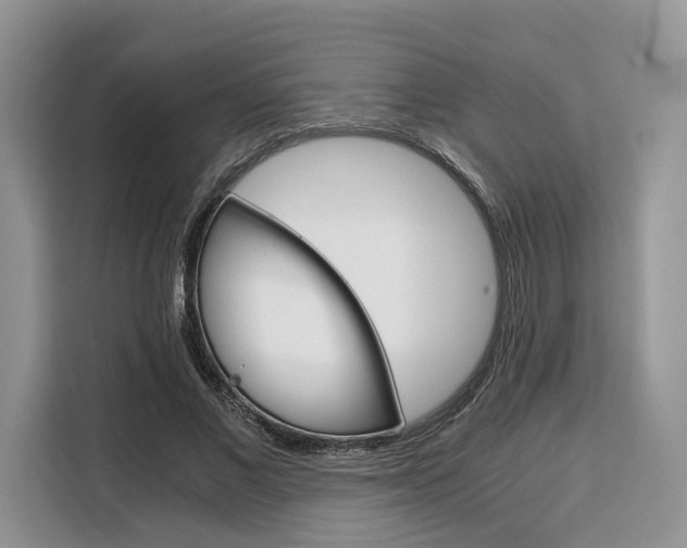 X0000110320685200905211206