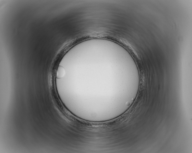 X0000110320686200905211206
