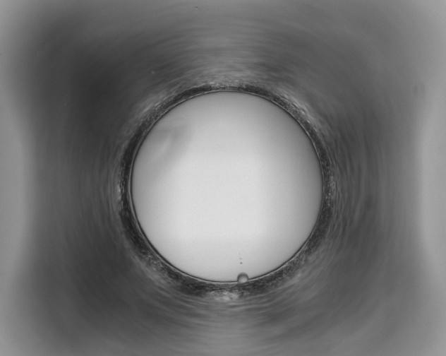 X0000110320687200905211206
