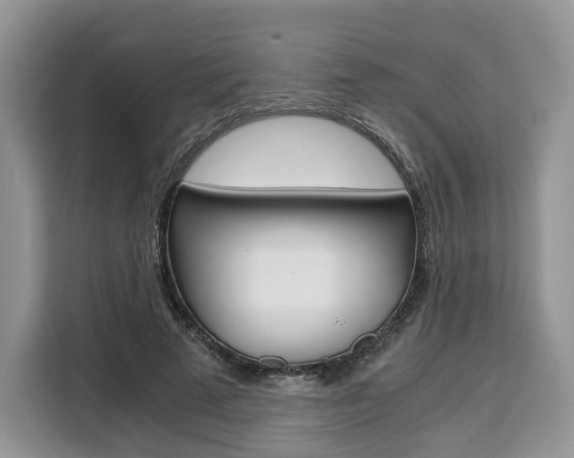 X0000110320689200905211206