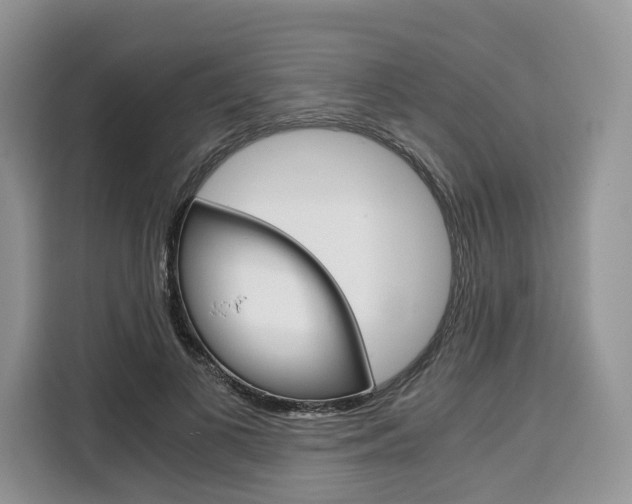 X0000110320693200905211206