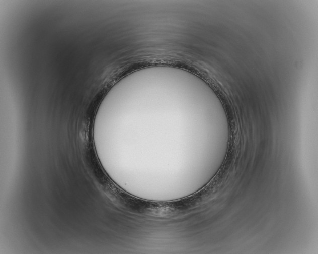 X0000110320695200905211206