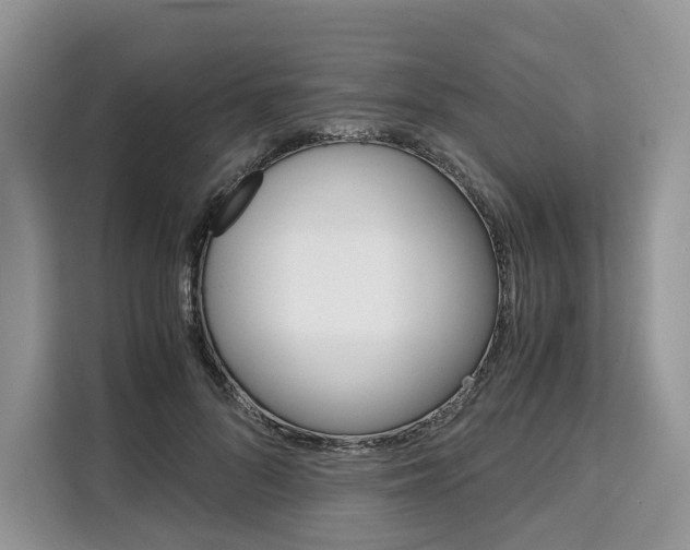 X0000110320696200905211206