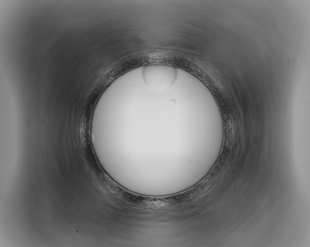 X0000110320698200905211206