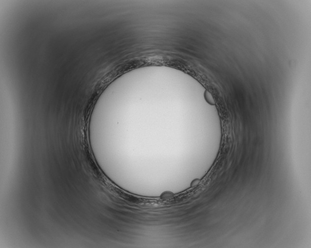 X0000110320702200905211206
