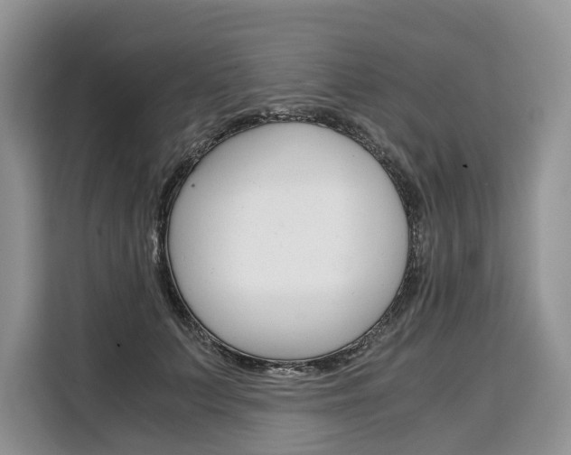 X0000110320703200905211206