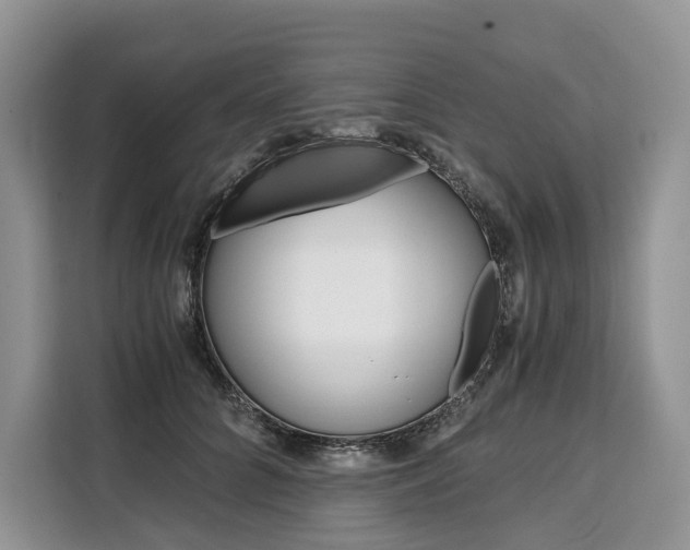 X0000110320704200905211206
