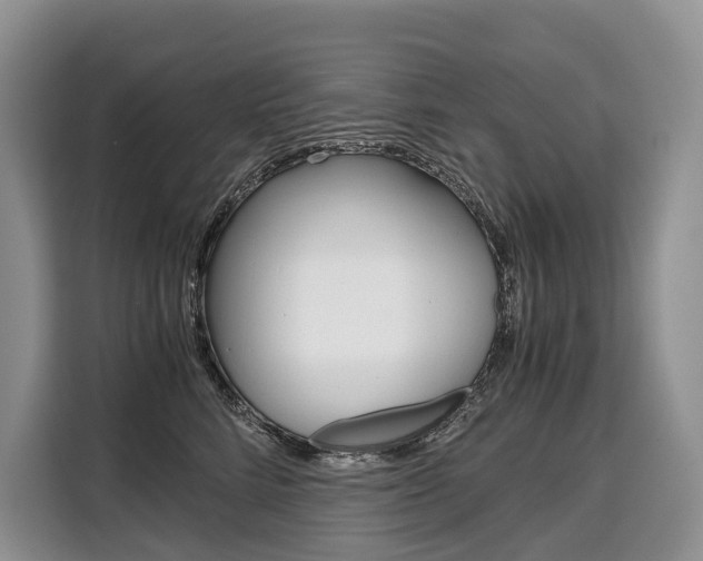 X0000110320712200905211206