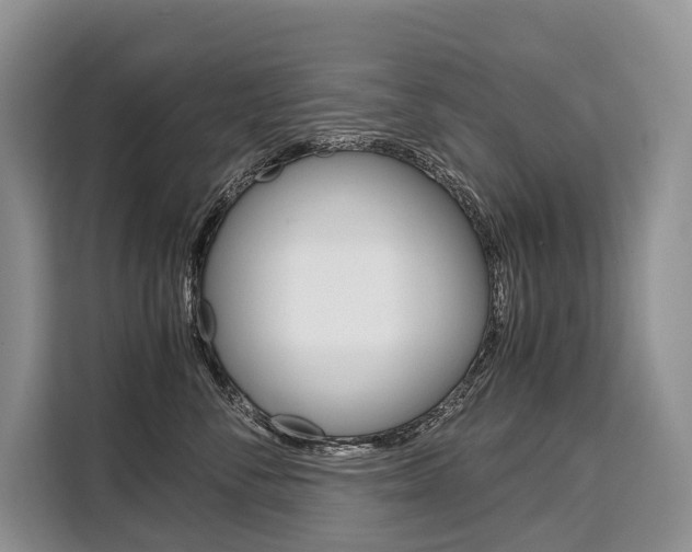 X0000110320716200905211206