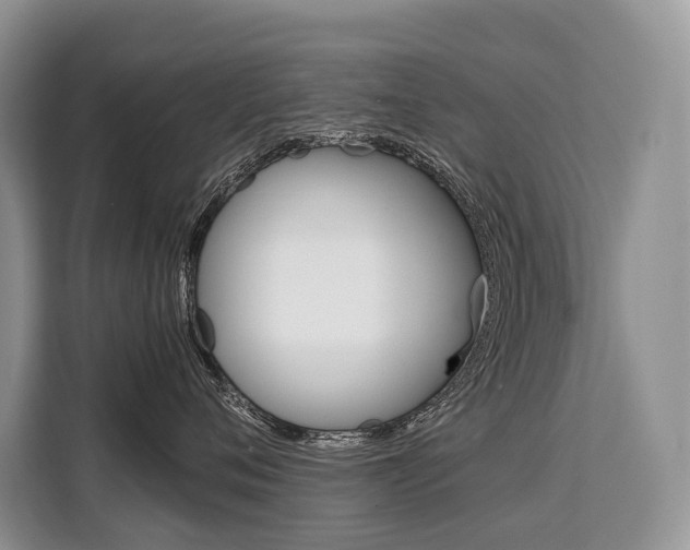 X0000110320720200905211206