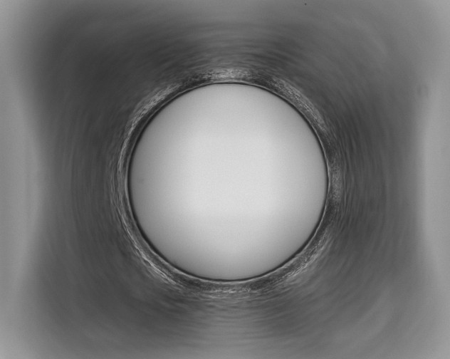 X0000110320721200905211205